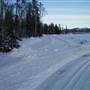 Winter Farms