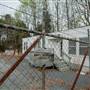 view through fence, body shop trailer