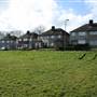 Robin Hood Green