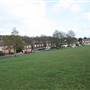 Tillingbourne Green