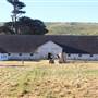 Pierce Point Ranch