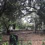 Pioneer Hill