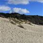 Stinson Beach