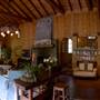 Vintage 1920's Home on 5 Forested Acres