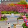 Stony Brook University