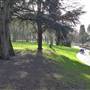 Lodge Farm Park