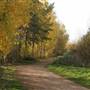 Bedfont Lakes Country Park