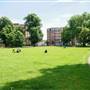 Turnham Green
