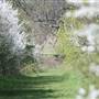 Gunpowder Park