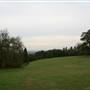The Mill Field