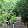 Oak Hill Park