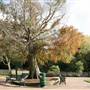 Old Court House Park