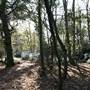 Scratchwood Nature Reserve