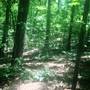 Little Mulberry Park