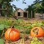 McDaniel Farm Park