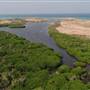 Mangrove Forest - غابة المانجروف في فرسان