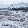 Kaskuwalsh Glacier/Slims River Valley