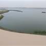 Asfar Lake - بحيرة الأصفر - الأحساء