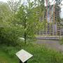 Bow Creek Ecology Park