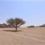 Yellow Sand Mountain- Hashmi Mountains -  بجده – جبال هاشمي – جبال الرمال الصفراء