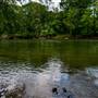 Simpsonwood Park