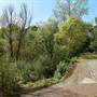 Middlesex Filter Beds Nature Reserve