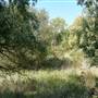 Middlesex Filter Beds Nature Reserve