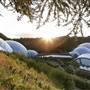The Eden Project
