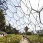 The Eden Project