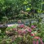 Vines Park