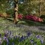 Boconnoc