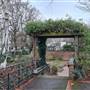 Isledon Gardens