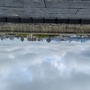 Rooftop with Abandoned Interior