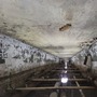 Decrepit Tunnel