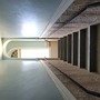 Basement for Crazies