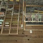 Basement for Crazies