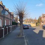 Peabody Cottages