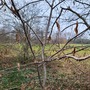 Bethune Park