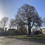Sydenham Avenue
