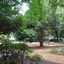 Lonsdale Square