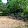 King Square Gardens