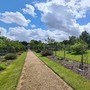 Kitchen Garden (Chiswick House & Gardens)