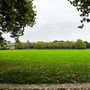 Downhills Park