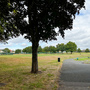 White Hart Lane Recreational Ground