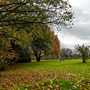 Bedfords Park