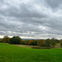 Bedfords Park