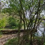 Ox Bow Island