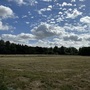 Waterworks Nature Reserve