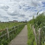 Walthamstow Marshes