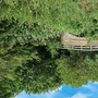 Country Park Controllable Roads & Tracks